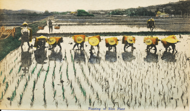 Sonderausstellung Prof.Dr. Pauer Japan um 1900 