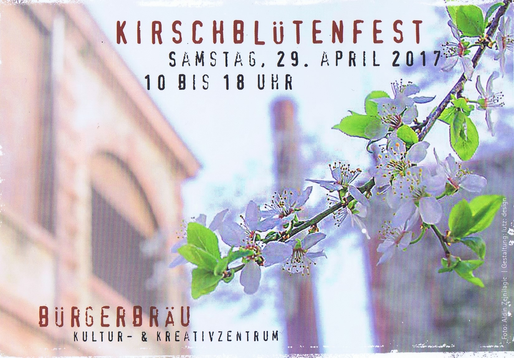 Kirschblütenfest Bürgerbräü Siebold-Museum 2017