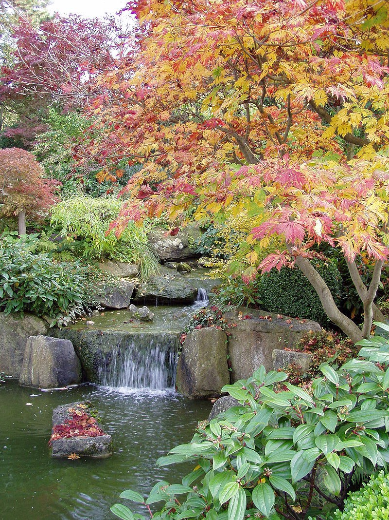 Japanischer Garten Würzburg Foto: settembrini